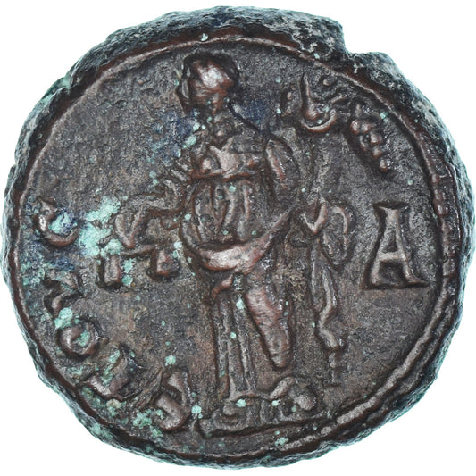 Mince,
Egypt,
Tacitus