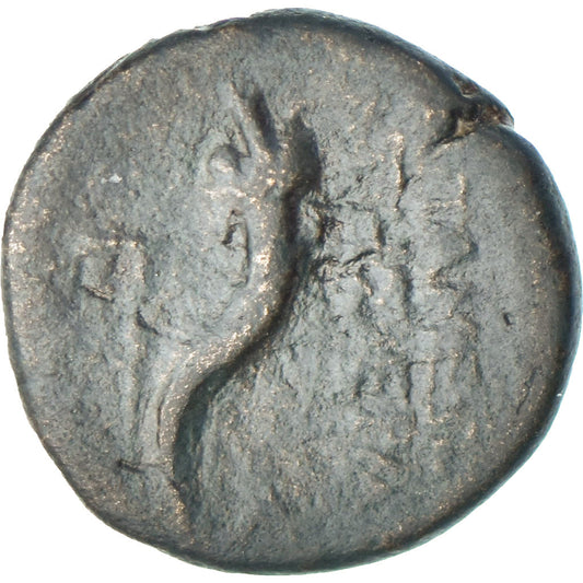 Seleucis a Pieria,
Pseudoautonomní,
Æ