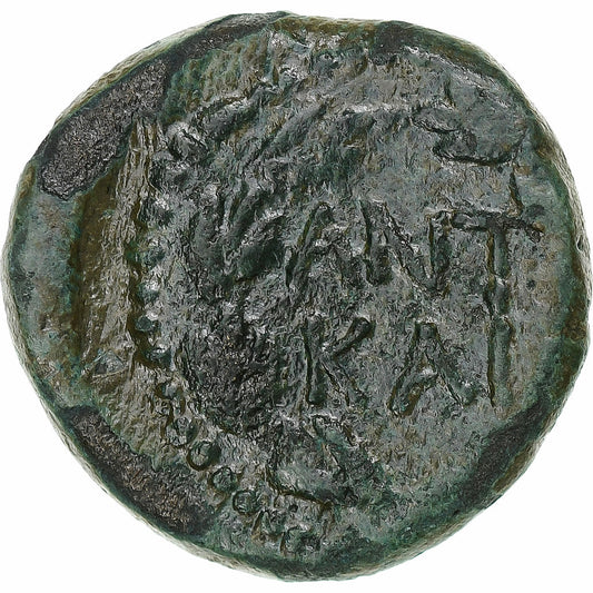 Makedonie,
Mark Antony & Octavian,
Æ