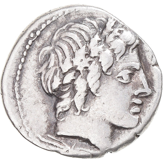Mince, 
  
  Gargilius, 
  
  Ogulnius