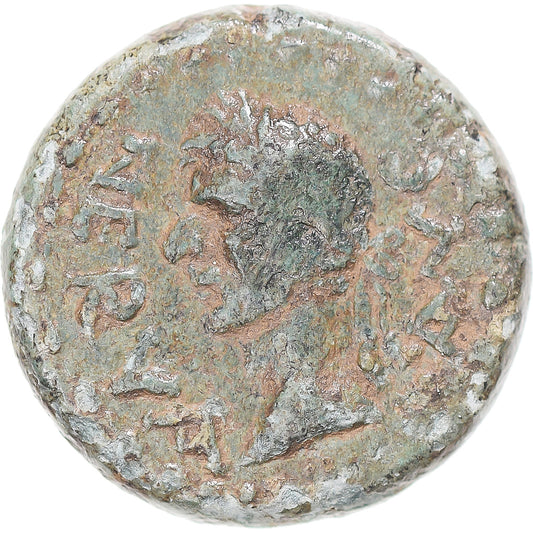 Mince, 
  
  mysia, 
  
  Nerva