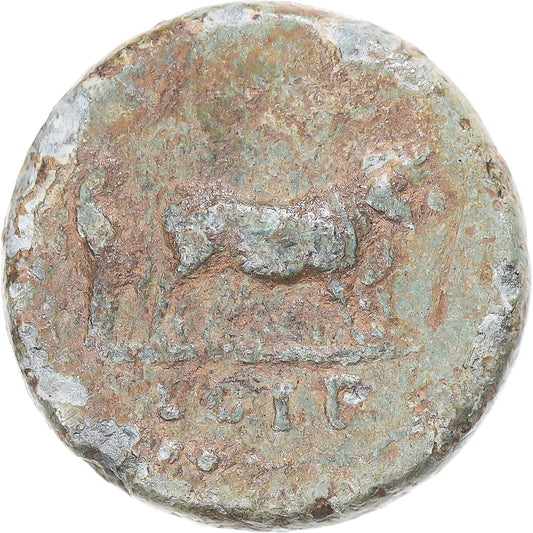 Mince, 
  
  mysia, 
  
  Nerva