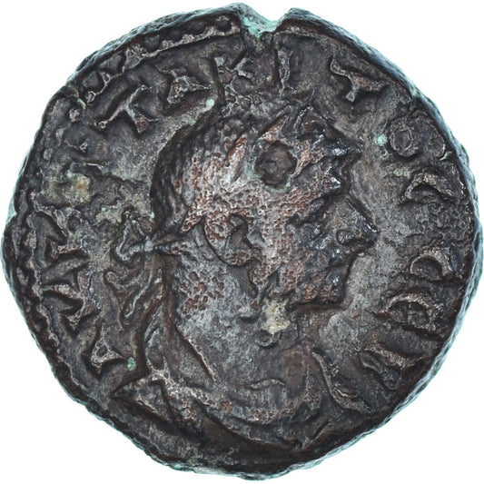 Mince, 
  
  Egypt, 
  
  Tacitus