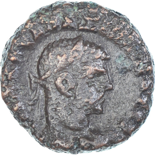 Mince, 
  
  Egypt, 
  
  Maximianus