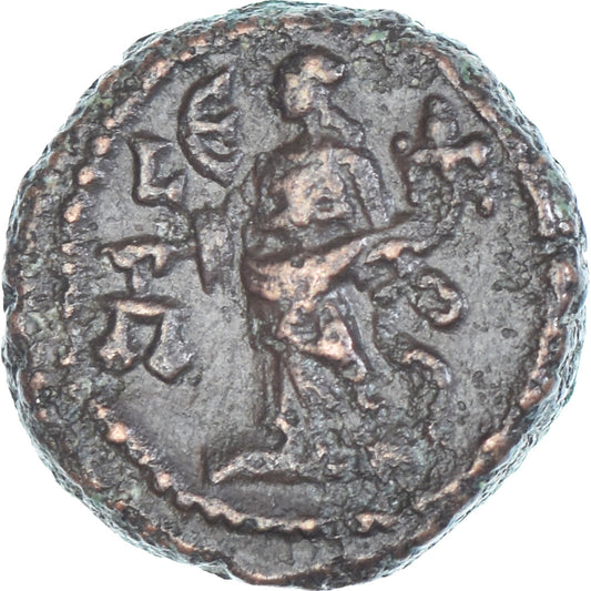 Mince, 
  
  Egypt, 
  
  Maximianus