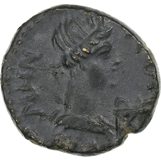 mysia, 
  
  Pseudoautonomní, 
  
  Æ